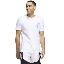 Koszulka adidas Skates Tee HL0093			