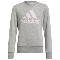 Bluza adidas Big Logo SWT HM8706			