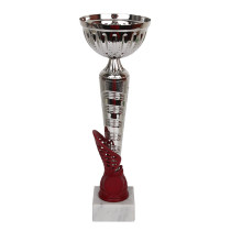 Puchar Tryumf W1916C			