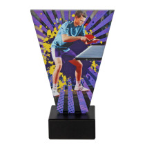 Trofeum szklane Tryumf			