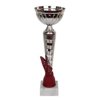 Puchar Tryumf W1916B			