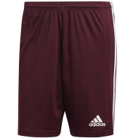 Spodenki adidas SQUADRA 21 Short GN8083			