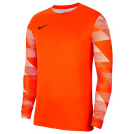Bluza Nike Y Park IV GK Boys CJ6072 819			