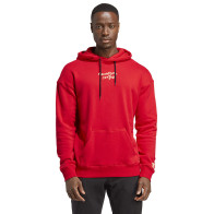 Bluza adidas Manchester United 22/23 HT1992			