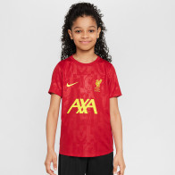 Koszulka Nike Liverpool FC Academy Pro SS Top Jr FQ0013-688			