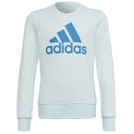 Bluza adidas Big Logo SWT HM8707			