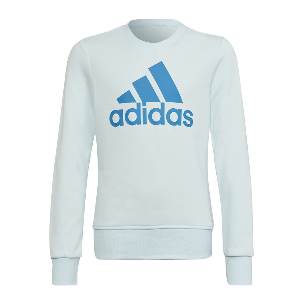 Bluza adidas Big Logo SWT HM8707			