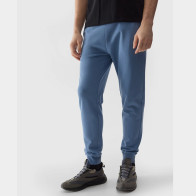 Spodnie 4F 4FWSS24TTROM603 32S			