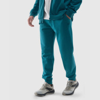 Spodnie 4F 4FWSS24TTROM603 46S			