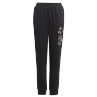 Spodnie adidas BLUV Q3 Pant Jr IA1552			