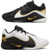 Buty Nike LEBRON XXII BHM GS HV8616-100			