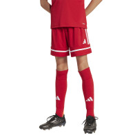 Spodenki adidas SQUADRA 25 JN5456			