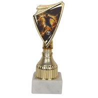 Puchar Tryumf 9297/SOC5-B piłka nożna			