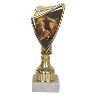 Puchar Tryumf 9297/SOC5-C piłka nożna			