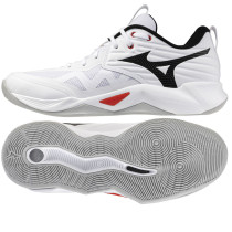 Buty Mizuno WAVE MOMENTUM PRO V1GA254059			