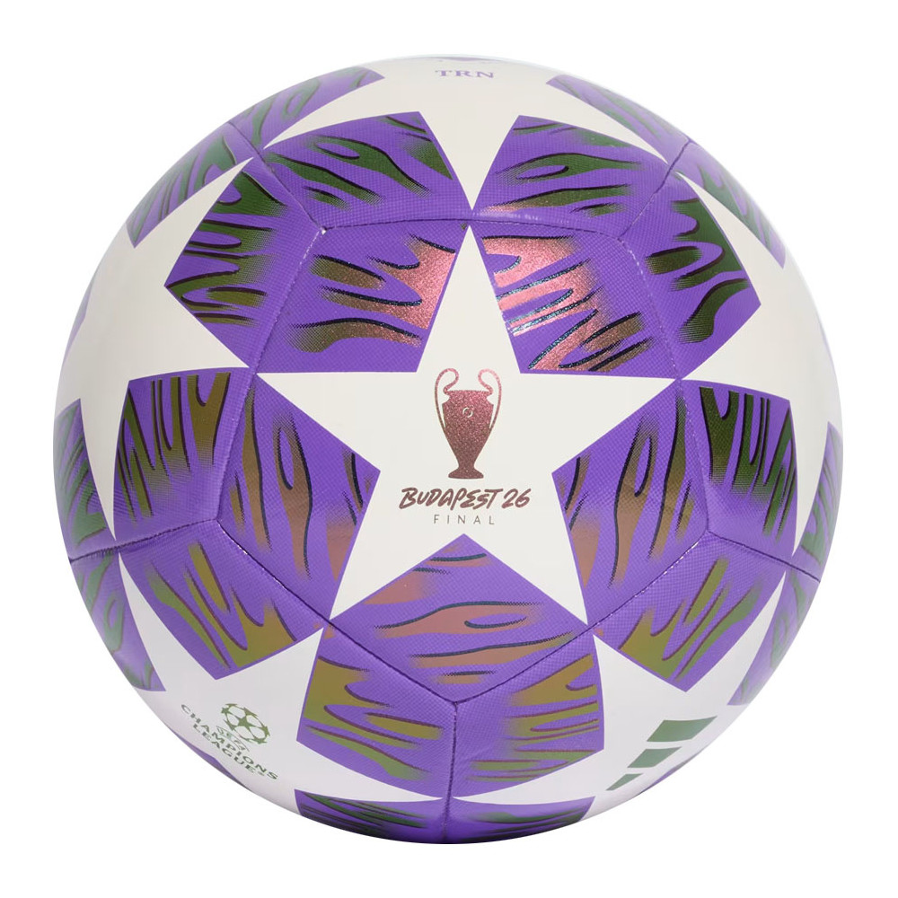 Piłka adidas UCL Training JX9089			