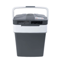 Lodówka turystyczna przenośna samochodowa 29L 220-240V DC12V funkcja grzania wkład gratis grafitowa